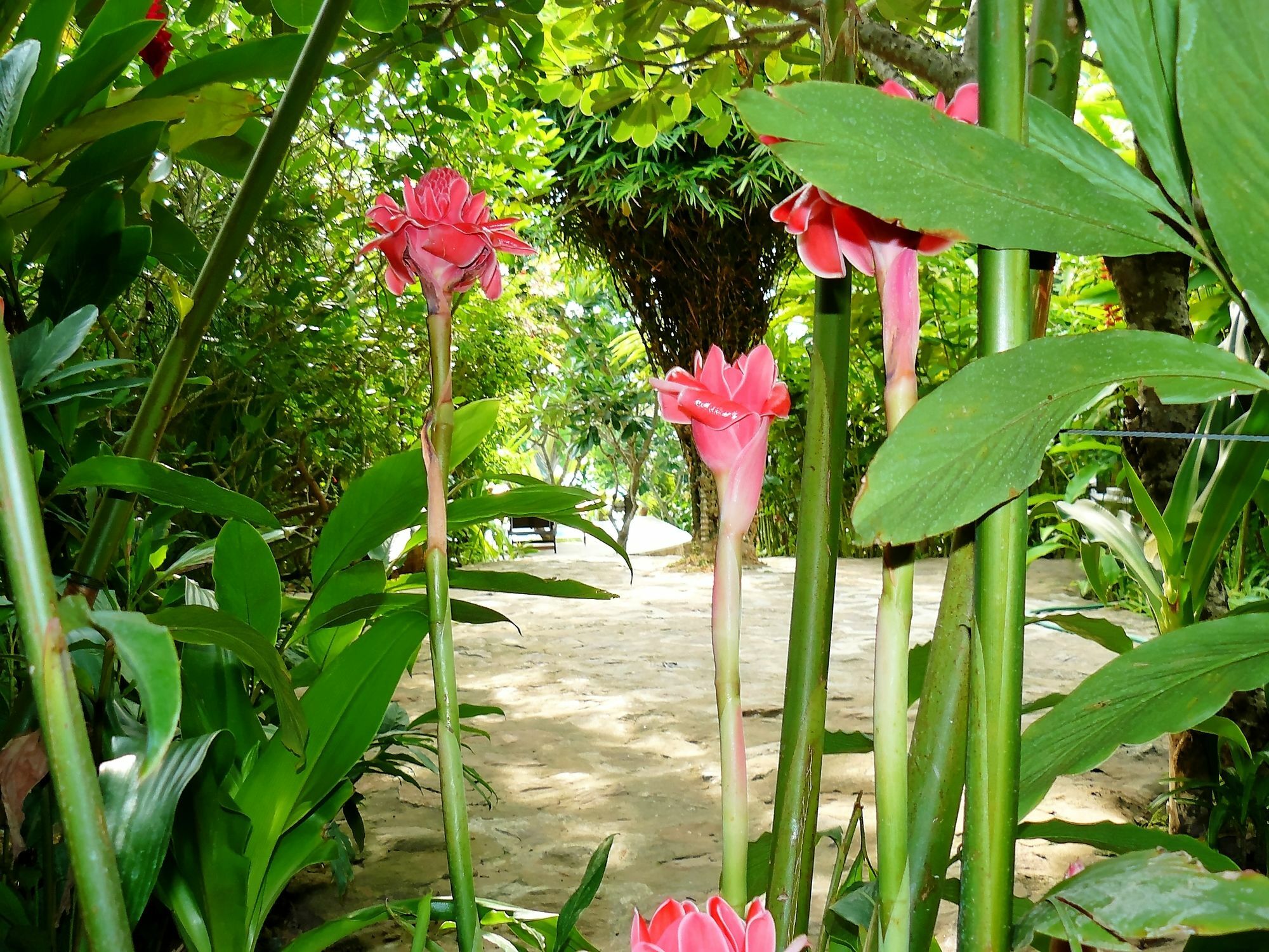 Mealea Resort Kep Exterior foto